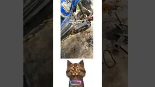 Reaction ‼️ Motor Nya Lama Gak Di Pake #shorts