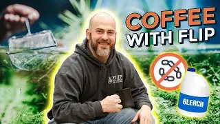 Ep. 47 Preventing Cross Contamination in Freshwater Aquariums - Coffee With Flip [Aquarium Podcast]