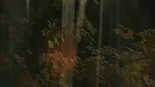 ,А ДОЖДЬ ВСЁ ЛЬЁТ ,музыка Сергей Грищук