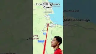 Jobe Bellingham's Career