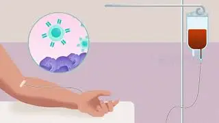 2D Medical Animation Company | Chimeric Antigen Receptor | Medical Explainer Video | EFFE Animation