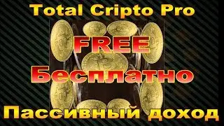 Зарабатывай криптовалюту, когда Биткоин падает,  на системе Total Cripto Pro 280 000 в месяц