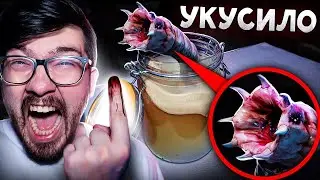 ЧЕРВЬ ПОЖИРАТЕЛЬ из даркнета УКУСИЛ МЕНЯ ! Потусторонние ! Alex Amoral