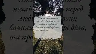 Дозволь світлу світити