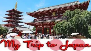 My Trip to Japan | Mario Kart IRL