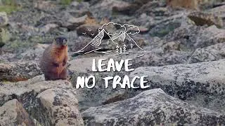 Do Estes Right: Leave No Trace