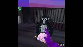 Do mess with rufus By leafy_cod #gorillatagvr #gorillatag #shorts