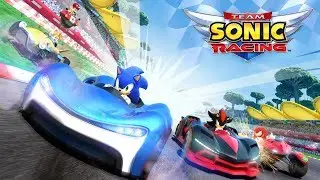Team Sonic Raicing. Нужен ли?