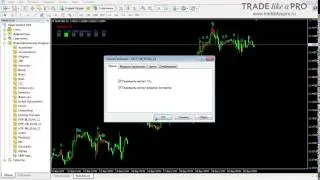 Индикаторы Price Action для определения паттернов на форекс