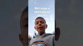 ёлки иголки#shorts