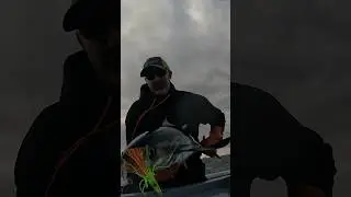 Commercial Albacore Tuna ROCKSTAR FISHING #yakventures #tuna #albacore