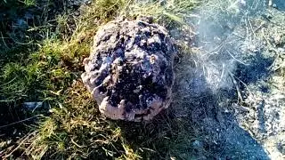 VID 20160821 074509