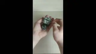 #9 Клонирование хомяков ! Канал самых годных лайфхаков !