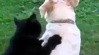 Массажист!