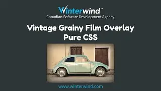 Vintage Grainy Film Overlay with CSS Only