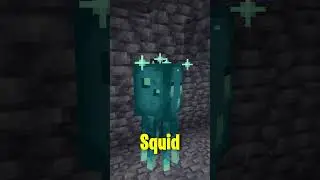 DinnerBone Does Not Work On These Mobs! #minecraftshorts
