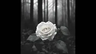 Fading ♫