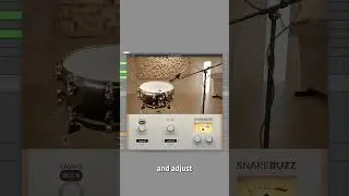 🔔 Enhance Your Tracks with the SnareBuzz Free VST Plugin by Wavesfactory 🔔