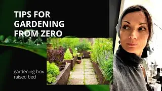 Tips from gardening from zero. Raised beds, gardening boxes.