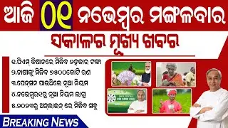 Today's Morning News Odisha / 01 November 2022 / Pm Kisan yojana | kalia yojana | Odisha new today |