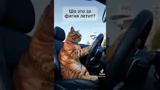 Anarchy17 - Еду я домой в Харьков мой родной