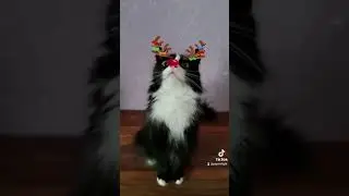 Желайте смело😈