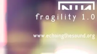 Nine Inch Nails: Fragility 1.0 Special