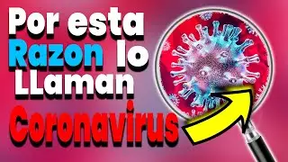 TODO lo que debemos SABER acerca del CORONAVIRUS, Explicado de MANERA SENCILLA
