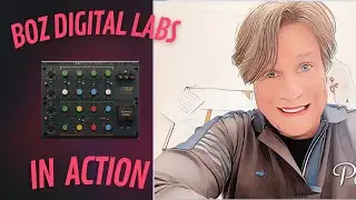 BOZ DIGITAL LABS PLUS 10DB V 2 IN ACTION
