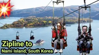 Ziplining to Nami Island  | South Korea🇰🇷 Adventures | Korea Travel Guide and tips