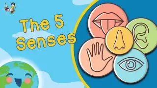 The Five Senses For Kids Video  (Learning Videos For Kids)