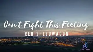 Can't Fight This Feeling Lyrics