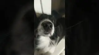 Я не могла это не выложить