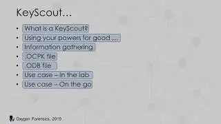 How To Extract Credential Data Using KeyScout
