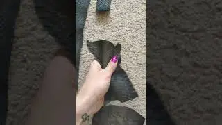 Кожа питона лоскут черного цвета