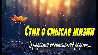 У Радости Целительный Родник...Стих о смысле жизни и следе, который каждый из нас оставляет на земле