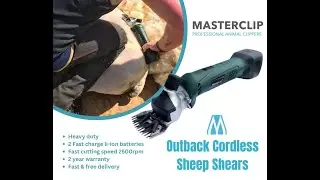 Masterclip Outback Shears dagging a very mucky sheep - Best cordless shears for crutching shearing