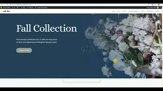 Build a website using Web services onClick 07