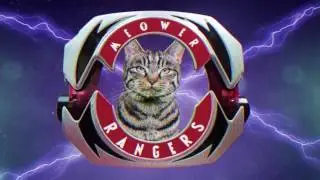 Mighty Morphin Meower Rangers