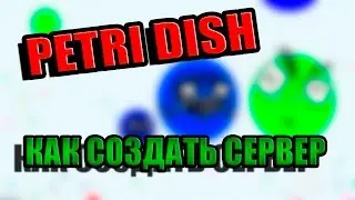 КАК СОЗДАТЬ СЕРВЕР   Agar