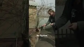 За Залужного. За Cирського. За Путіна • Ukraïner
