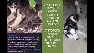 ЖИЗНЬ НА УЛИЦЕ.. ЖИЗНЬ ЛИ??....