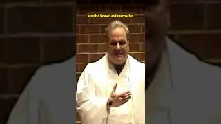 Glory. #Sermon from 3-2-25. #transfiguration Luke 9:28-36. #progressiveclergy