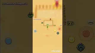Bear battle