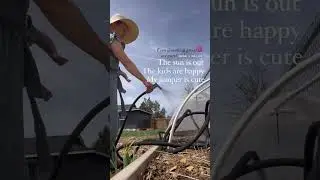 The truth about gardening in 2023 #shorts #gardening