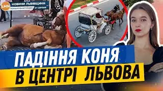 Україна застосувала F16  |  Пресконференція Зеленського | ЗСУ вже в Бєлгороді?|