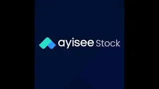 Ki sa ki "AYISEE STOCK" ?
