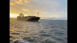 Container ship 🚢 sailing in calm 🌊⛵