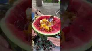 여행릴스맛집 남이섬에서 여름분위기 낭낭한 여행릴스 찍기🌞📷🥰🍃