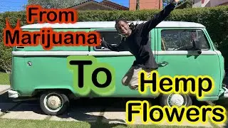 Can Smoking HEMP/CBD Help You Stop Your Marijuana Addiction?